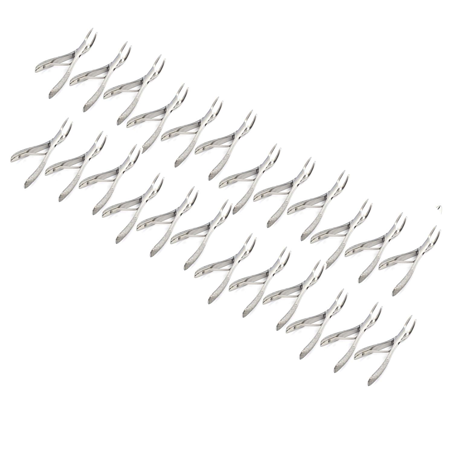 OdontoMed2011 Set Of 24 Dental Extracting Forceps 151SK Dental Extraction Instruments ODM
