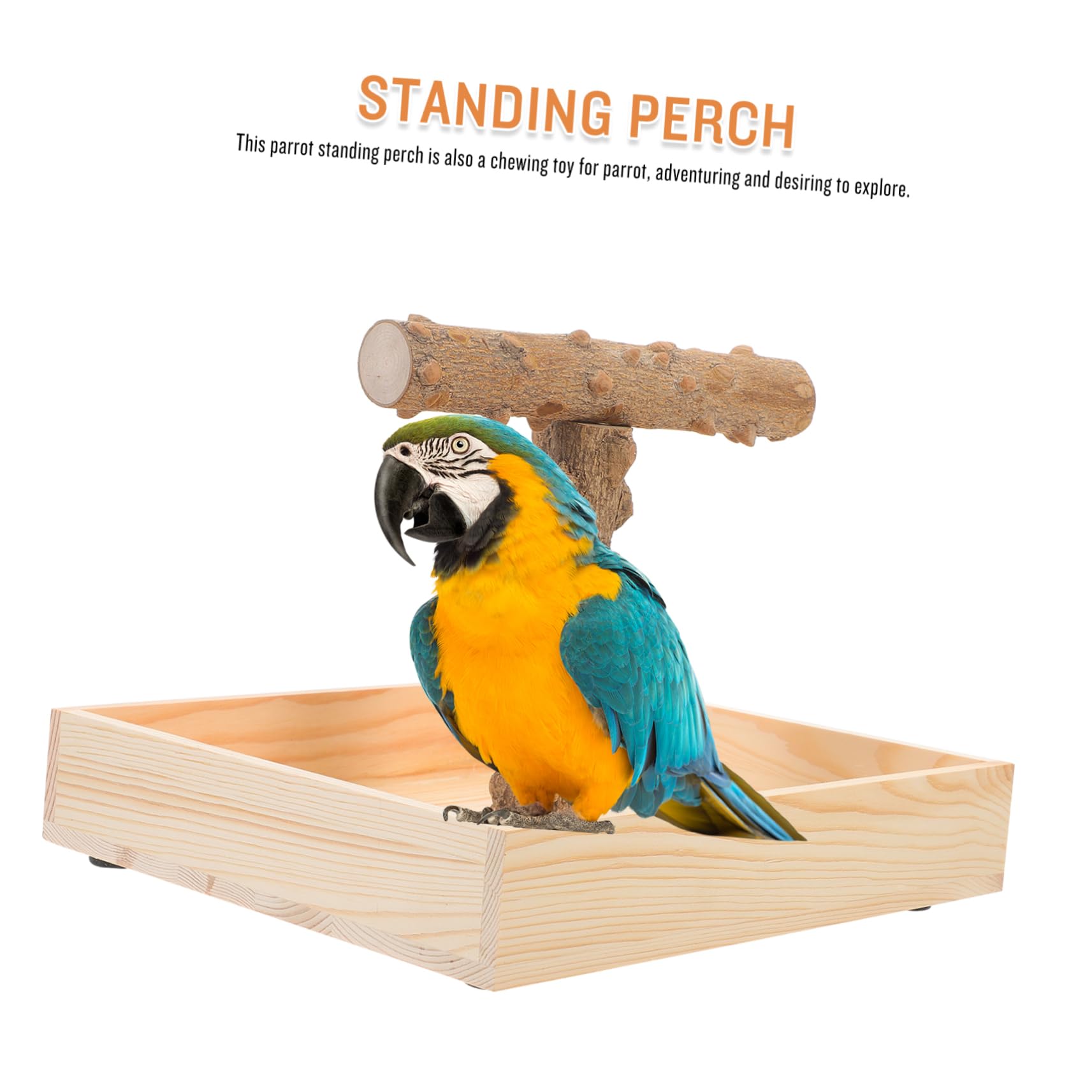 UKCOCO Sittichsitzstange Aus Holz Für Vogeltraining Natürliche Papageiensitzstange Für Sittiche Nymphensittiche Unzertrennliche Vögel Und Tauben Robust Und Dekorativ Für Vogelkäfig