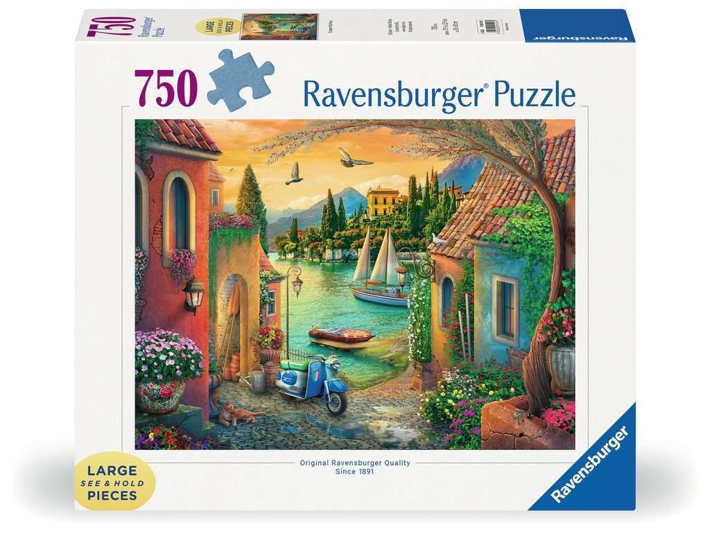 Amazon.com: Ravensburger European Villa Views 750 Piece Large