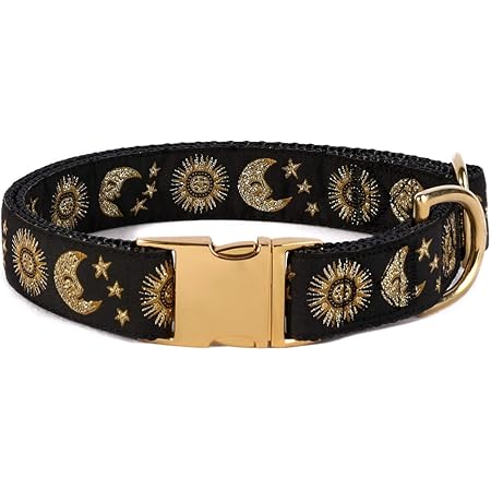 celestial cat collar