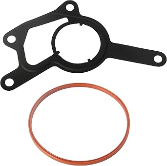 Vacuum Pump Rebuild Seal Kit Compatible with 2007-2009 Mercedes Benz E320 GL320 ML320 R320 Replaces A6462300165 6420160280