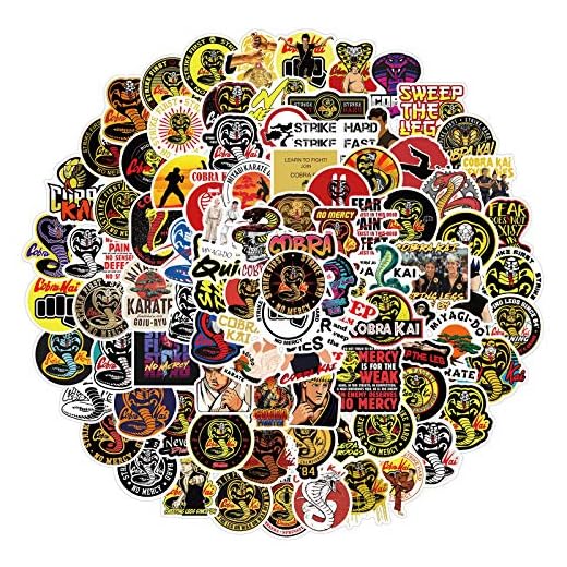 Calcomanías para botella de agua para adolescentes y niñas, lindas calcomanías impermeables para laptop, computadora, monopatín, bicicleta, equipaje, guitarra, funda de viaje (Cobra Kai)