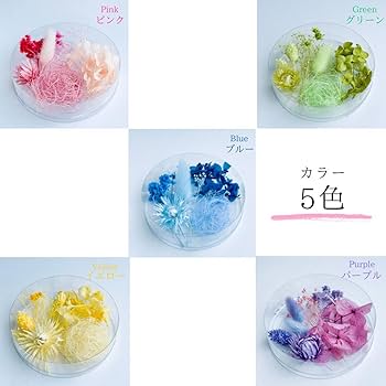 2025-ハーバリウム関連-詰め合わせセット 他まめ　@2@6 ハーバリウム 花材セット 5色入り 花材の詰め合わせ 中身が