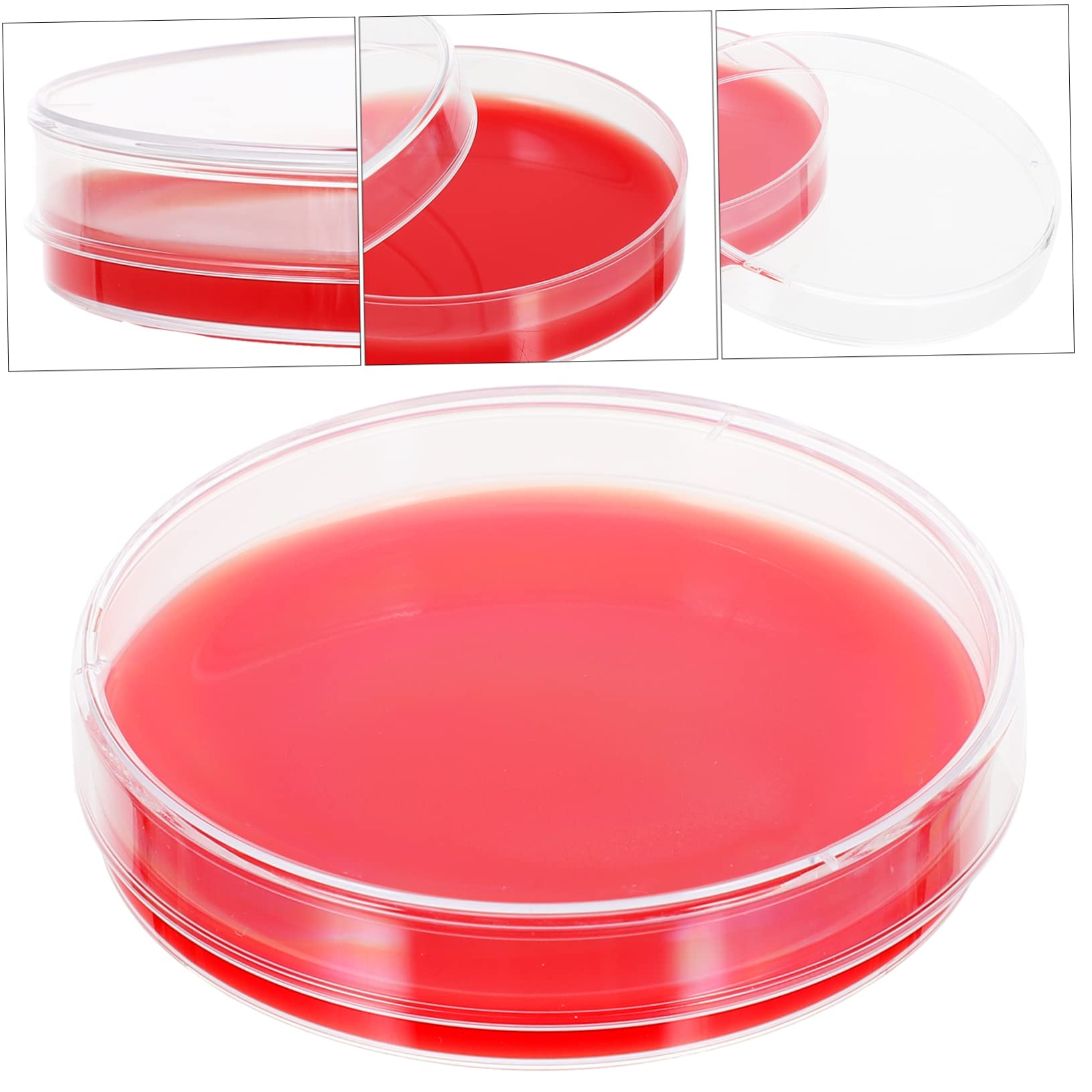 2 Series Medio De Agar Placa De Agar Nutritivo Equipo De Laboratorio Placas De Agar Prevertido Placa De Petri De Laboratorio Educación Física Rojo 10 Piezas*2