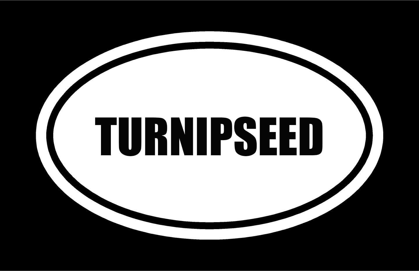 Beach Graphic Pros 6" die Cut White Vinyl TURNIPSEED Oval