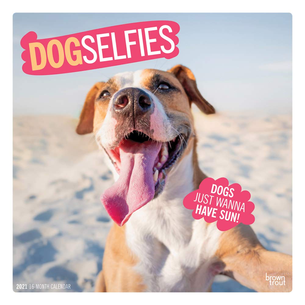 Dog Selfies 2021 Square Wall Calendar