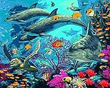 Plaid Creates Paint by Number Kit (16 by 20-Inch), 22076 Secrets of The Reef