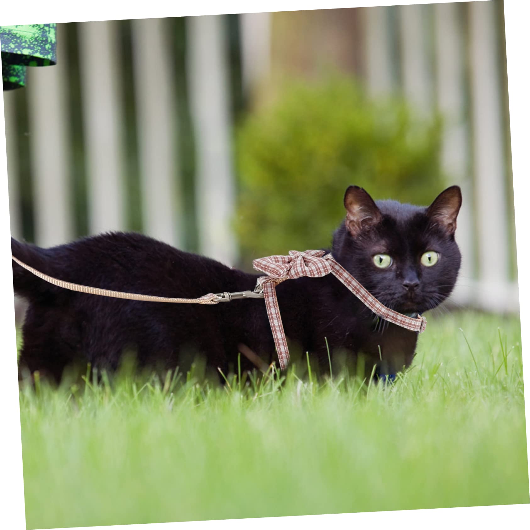Sosoport 4sätze Einstellbares Katzengeschirr Mit Zugleine Für Außenbereich Sicher Und Bequem Für Kleine Katzen Geeignet Für Leicht Und Tragbar Aus Verschleißfestem Material