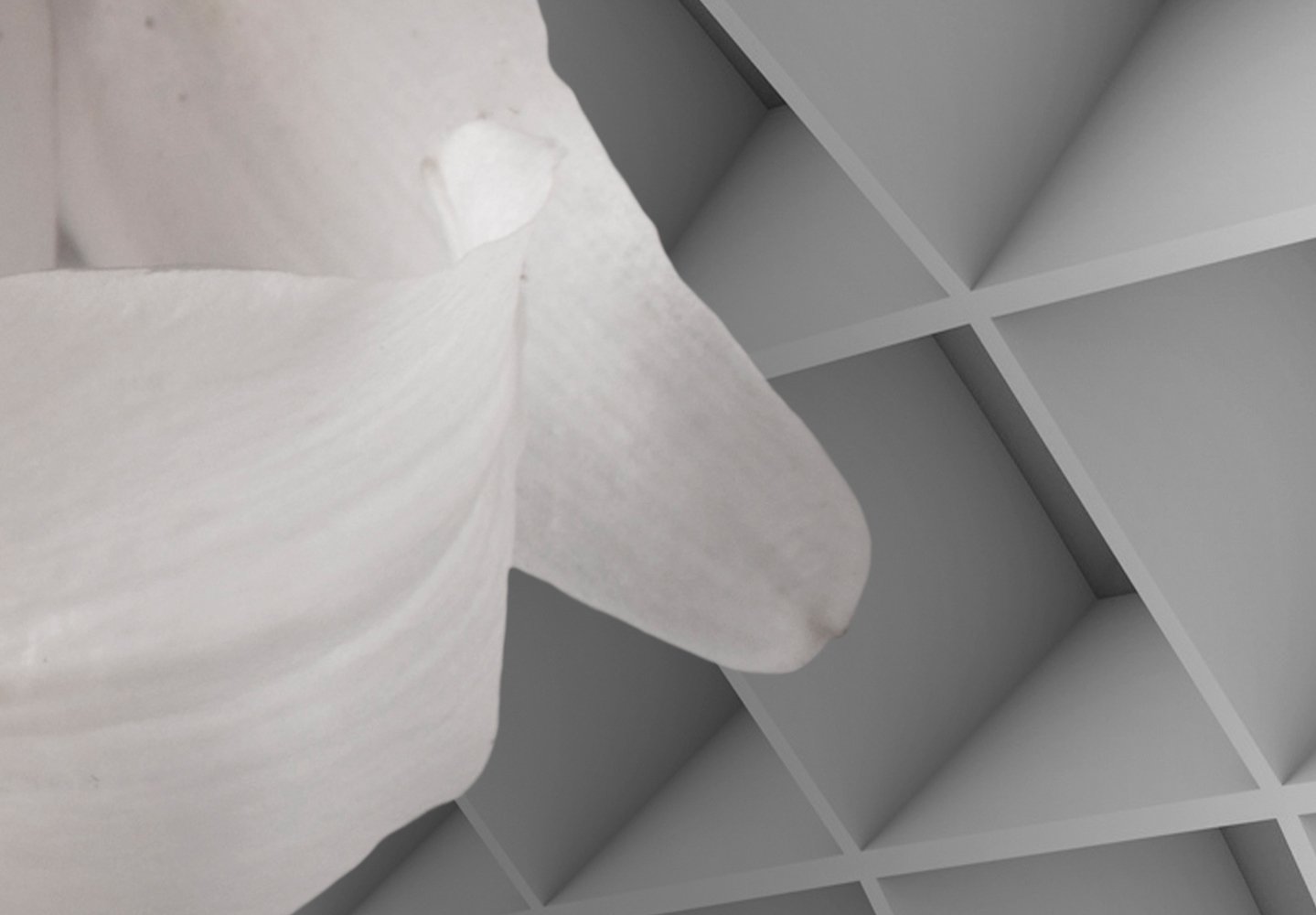 murando - Fototapete Vlies Optik, 400x280 cm, Schlafzimmer, Wohnzimmer | Full HD Druck, 3D-Effekt, lichtbeständige Farben, ideal fürs Wohn- oder Schlafzimmer, schnelle Montage, lichtbeständig, edel