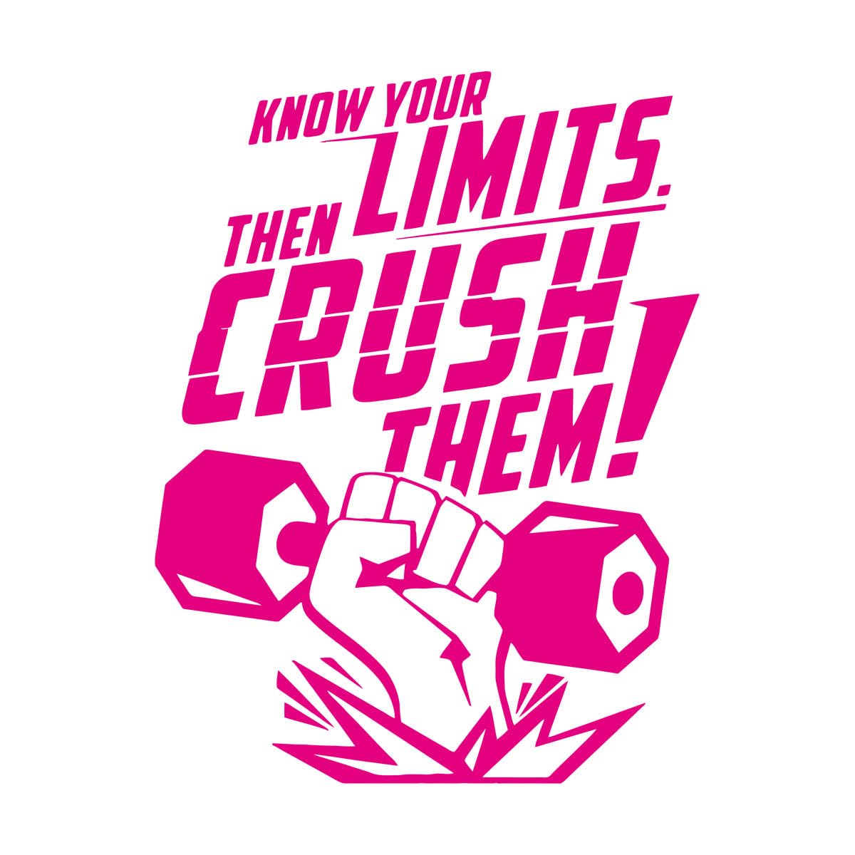 Know Your Limits and Then Break Through Them Fine Carving Stickers 54x69.5cm Easy Installation Large Rosered — image 1