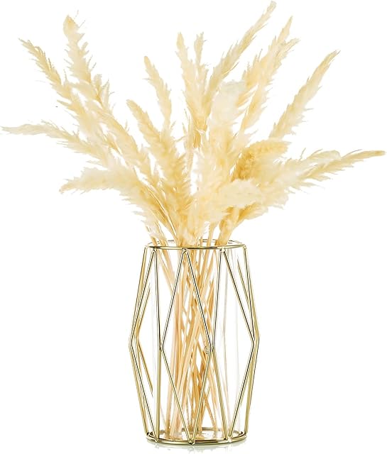 Small Pampas Grass Vase Gold, Modern Glass Vase for Flowers with Geometric Metal Rack for Artificial Hydroponics Living Room Dining Table Decoration Wedding Centrepiece Ornaments, 16cm Height