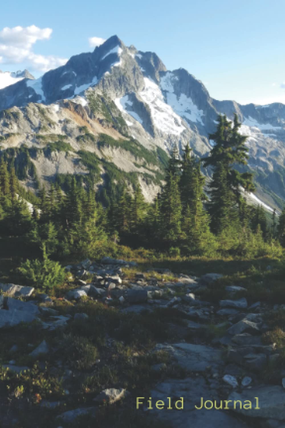 Independently published Snowy Mountains - Field Journal