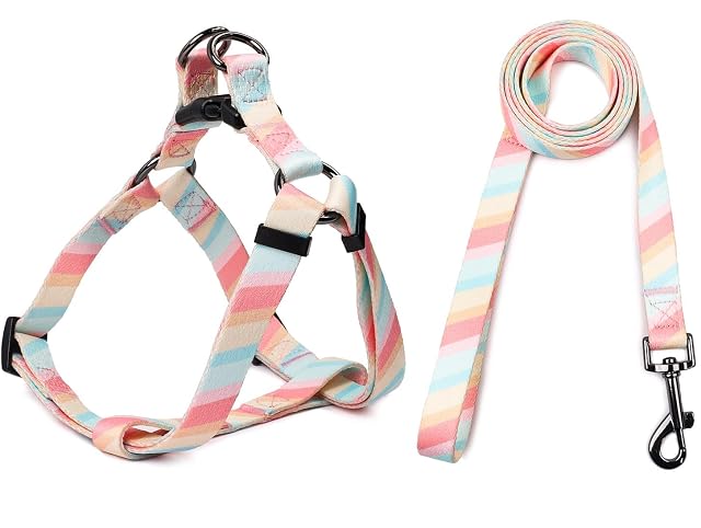 Foto 5 de 7 de COSYHOMELONDON Collar Perro, Ajustable y Resistente con Patrones de Moda