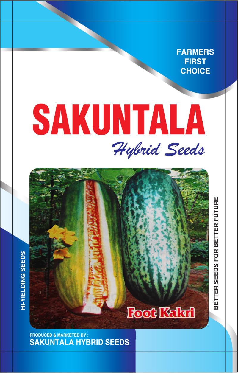 Foot Kakri Kakdi Hybrid Beej for Ghar Ke Bagiche (Pack of 50 seeds)-image-36