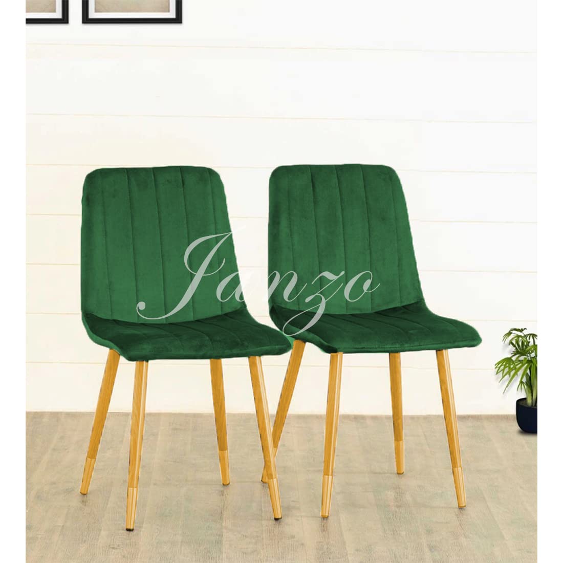 Janzo Furnitures Living Room | Modern Sunny Designs | Dining Chairs | Pre Assembled Finish Color - Green