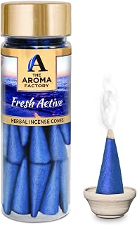 The Aroma Factory Incense Dhoop Cone for Pooja, Fresh Active (100% Herbal & 0% Charcoal) 1 Bottle x 90g