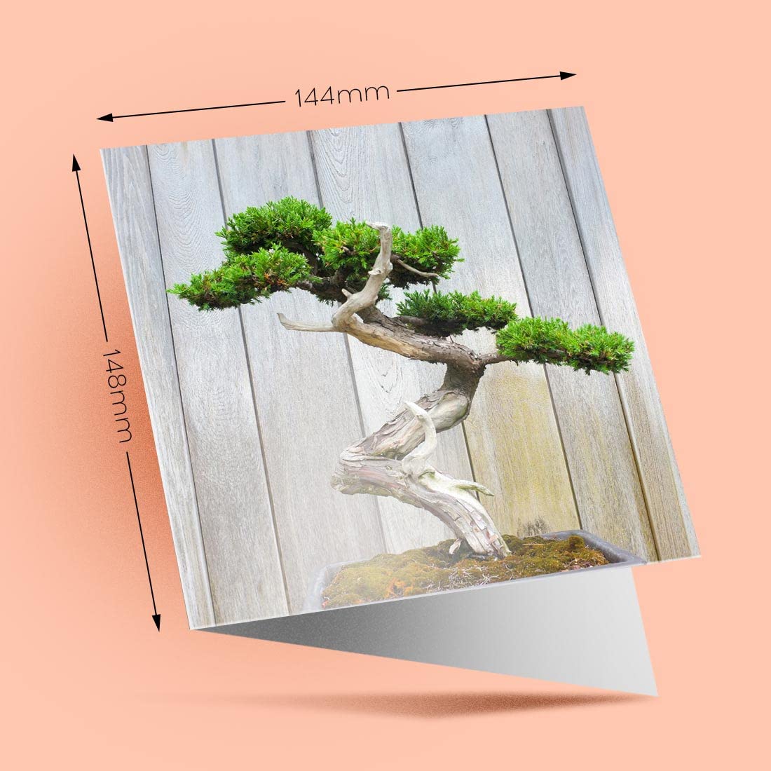 1 x Happy Birthday Greeting Card Bonsai Japanese Tree - Blank Celebration  Anniversary #3125: Greeting Cards: Amazon.com.au