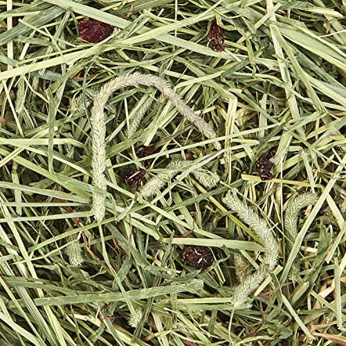 Image of Kaytee All Natural Timothy Hay Plus Carrots for Guinea Pig & Rabbit | Digestive support. Guinea pig hay with carrots. Rabbit hay, long-strand, non GMO