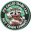 Green-Raccoon