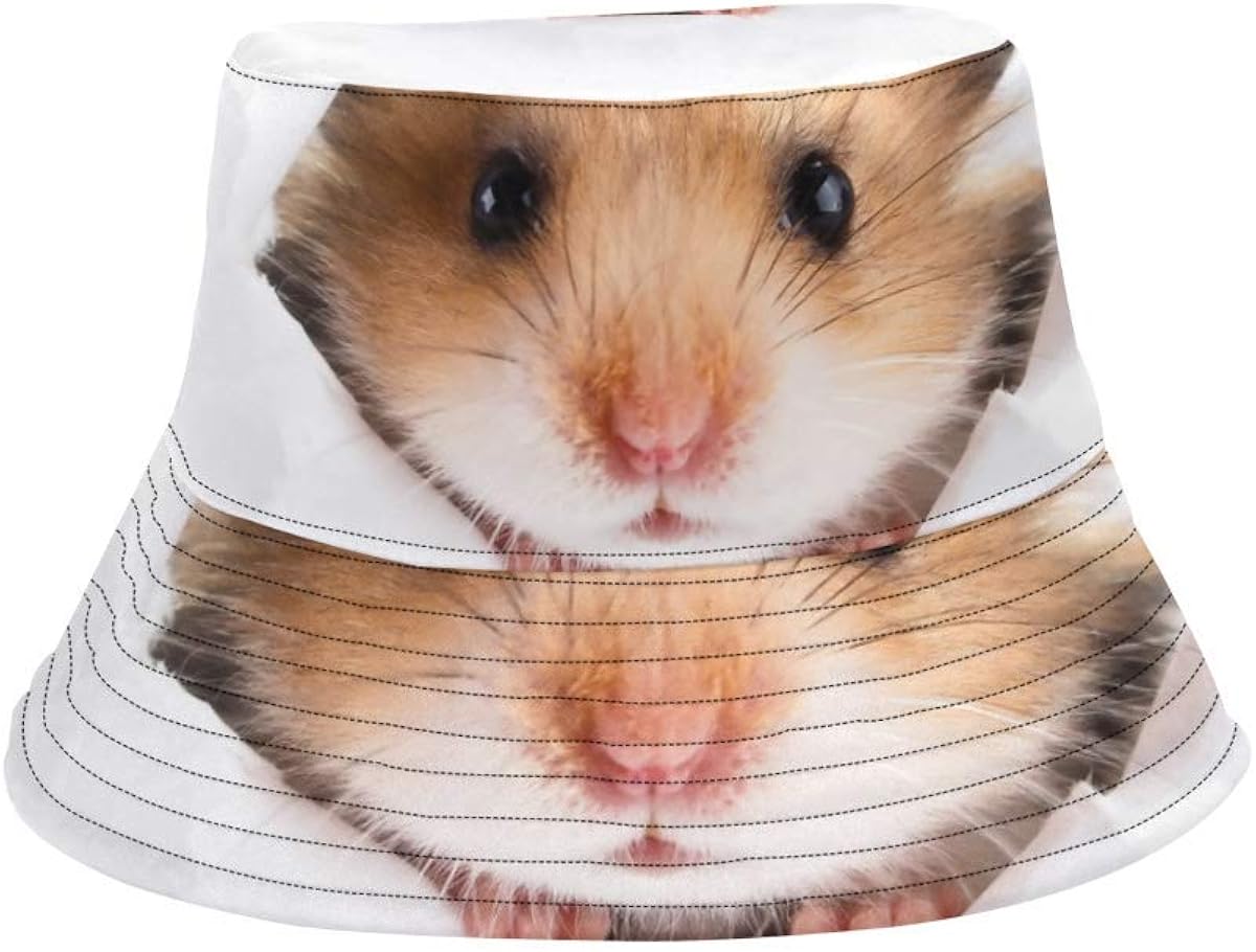 Hamster hat Clearance