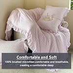 NSNLGSGC Pink Ruffle Gingham Comforter Set Queen, Pre-Washed Ruffled Plaid Checked Comforter Bedding, 3 Pieces Vintage Farmhouse Grid Bedding Set(Pink Gingham, Queen)