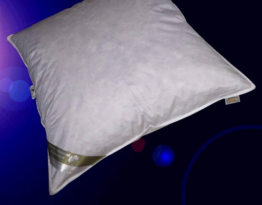 ドイツ製・８０×８０・羽枕・カバー付き・クッション・座布団としても Amazon｜【正規品】ヨーロッパ伝統のサイズ枕80x80cm【安心