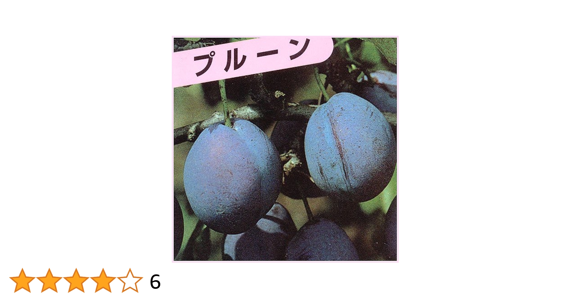 プルーン 苗木 楽天市場】プルーン 苗木 ジャンボプルーン（大実プルーン