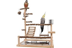 Parrot Playground Stand: A Haven for Feathered Friends