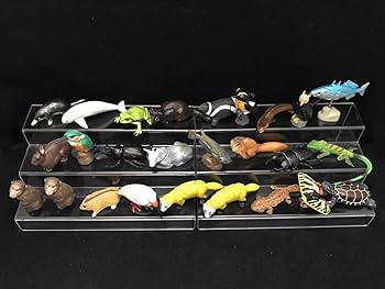 チョコエッグ　非売品　分布地図　日本の動物　第1弾　24種アソート　海洋堂 チョコエッグ 非売品 分布地図 日本の動物 第1弾 24種アソート