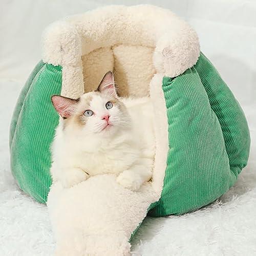 Arena para gatos con forma de calabaza, mantiene el calor en invierno, cama cerrada para gatos, arena semicerrada para mascotas (22 libras, verde)
