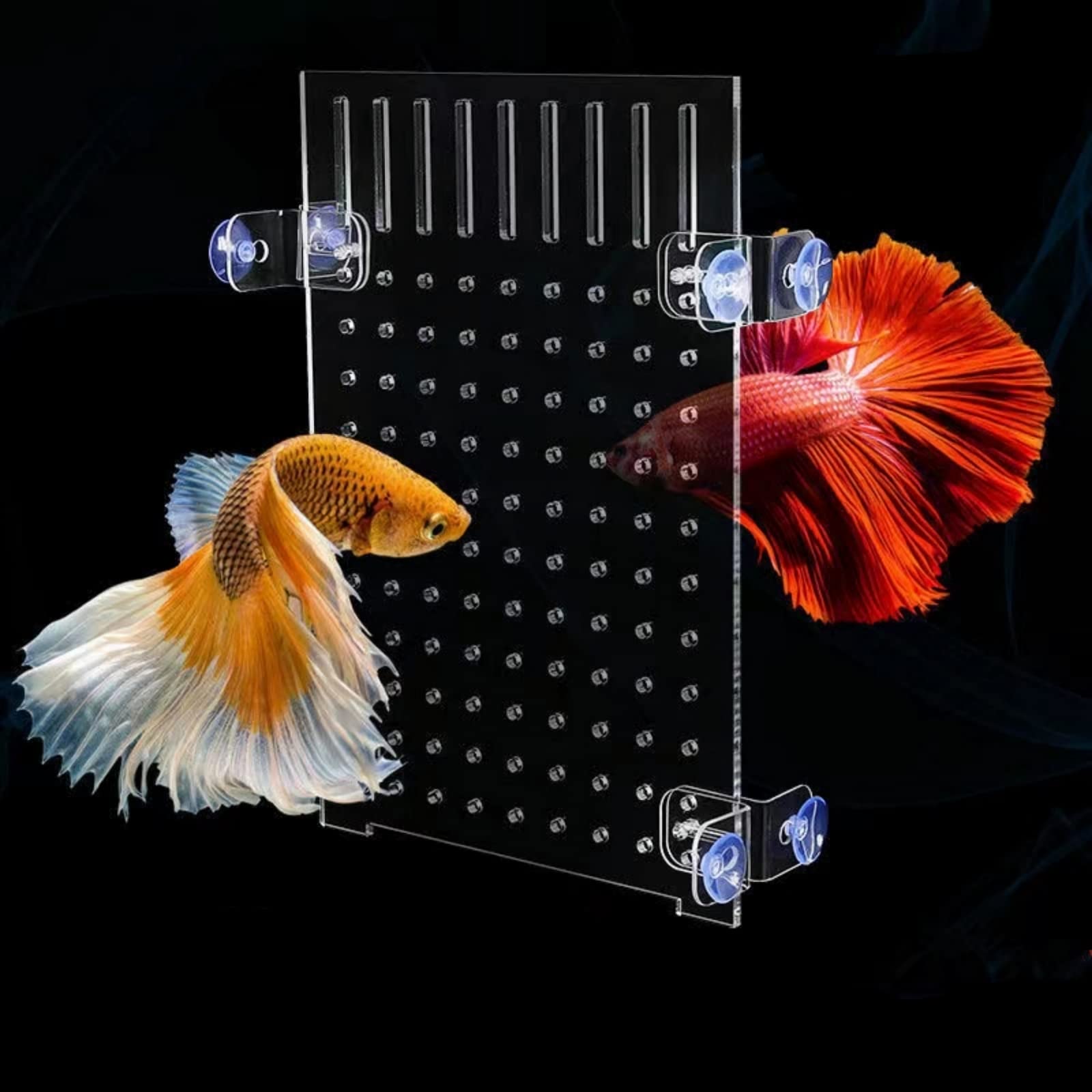 Buy RCSXEDX 2pack 10 Gallon Fish Tank Divider with Suction Cups
