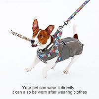 Vista 6 de BEAUTYZOO No Pull Dog Harness and Leash Set - Adjustable Step-in Puppy Harness for Small Medium Large Dogs, Escape Proof Soft Nylon Vest with Double