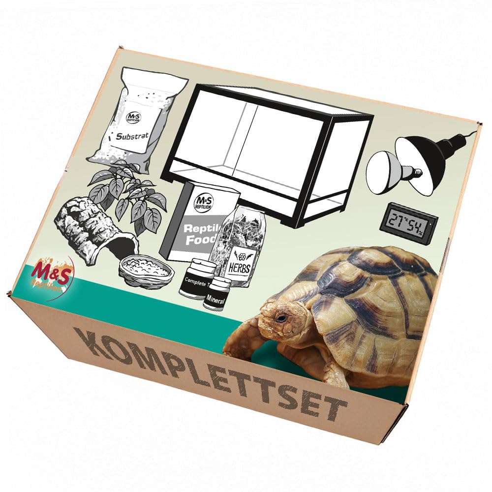 Komplettset: Für Landschildkröten Terrarium mit ReptiZoo Glas-Terrarium 120x60x45 cm (RK0226)