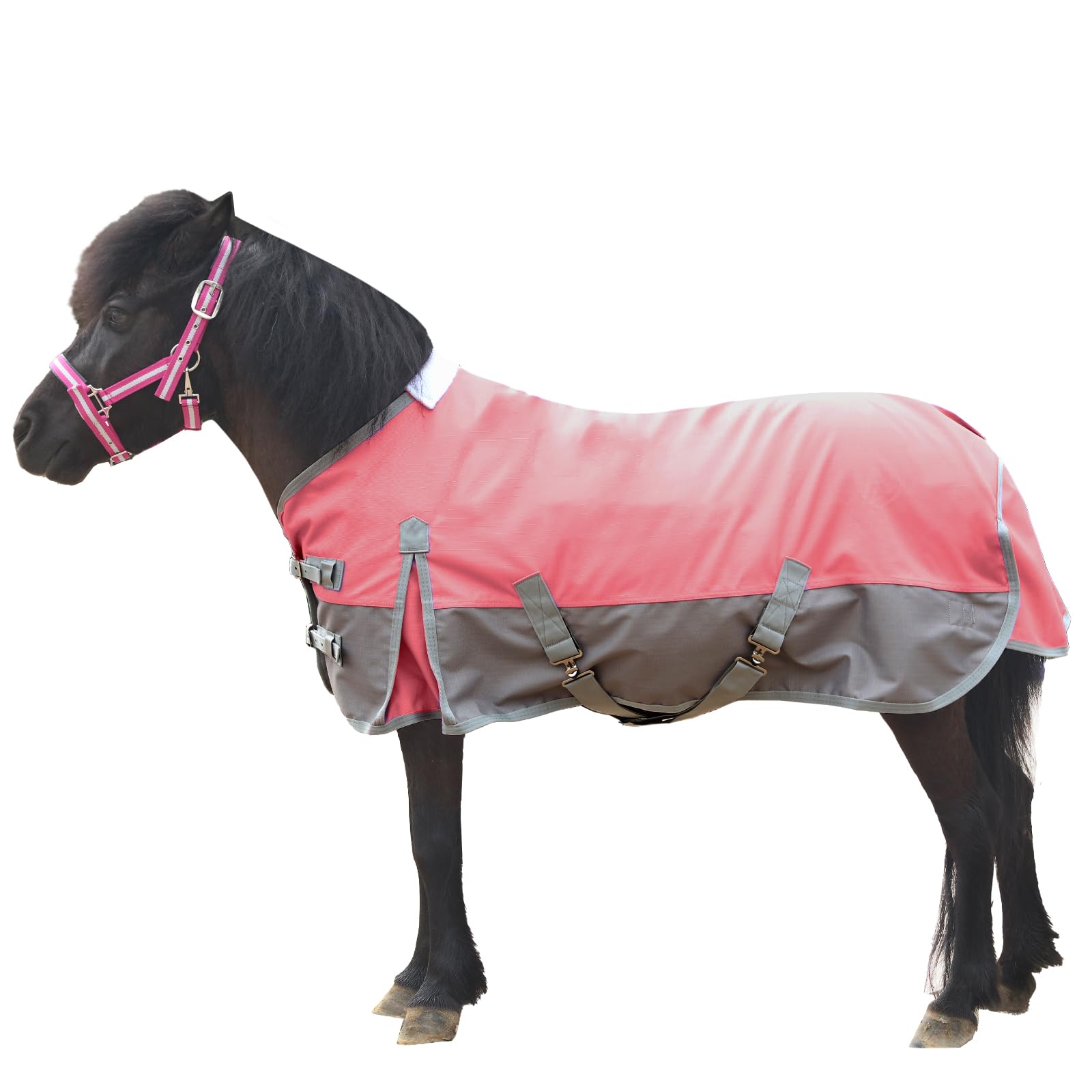 1200D Pony/Shetty Manta para caballo sin relleno (0 g), ligera, impermeable, transpirable y resistente al desgarro, manta de lluvia para potros, mini caballos, caballos enanos, caballos