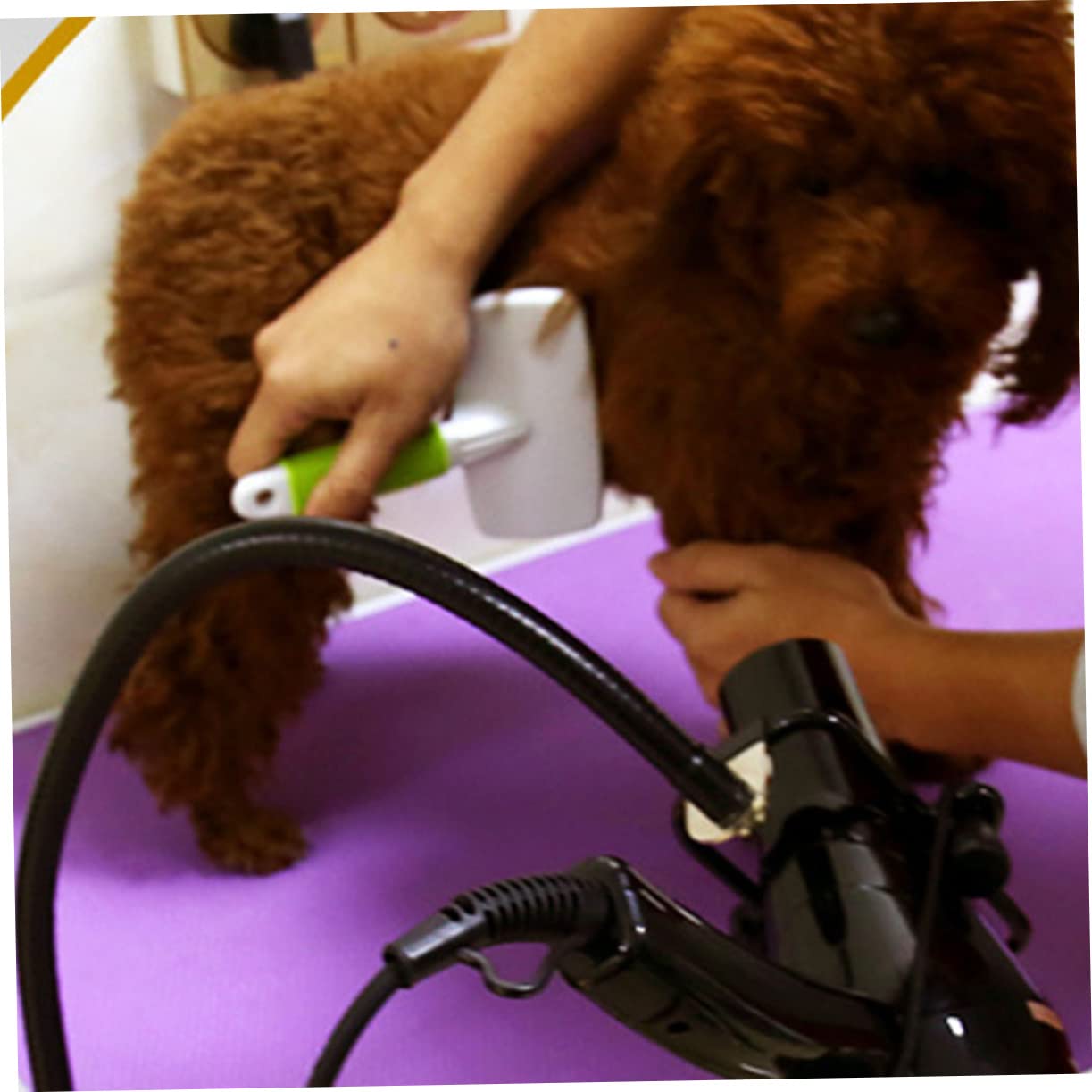 WOONEKY Supporto Per Asciugacapelli Clip Supporto Per Asciugacapelli Strumento Per Toelettatura Degli Animali Domestici Robusto e Resistente All Usura Antiruggine Regolabile in Altezza