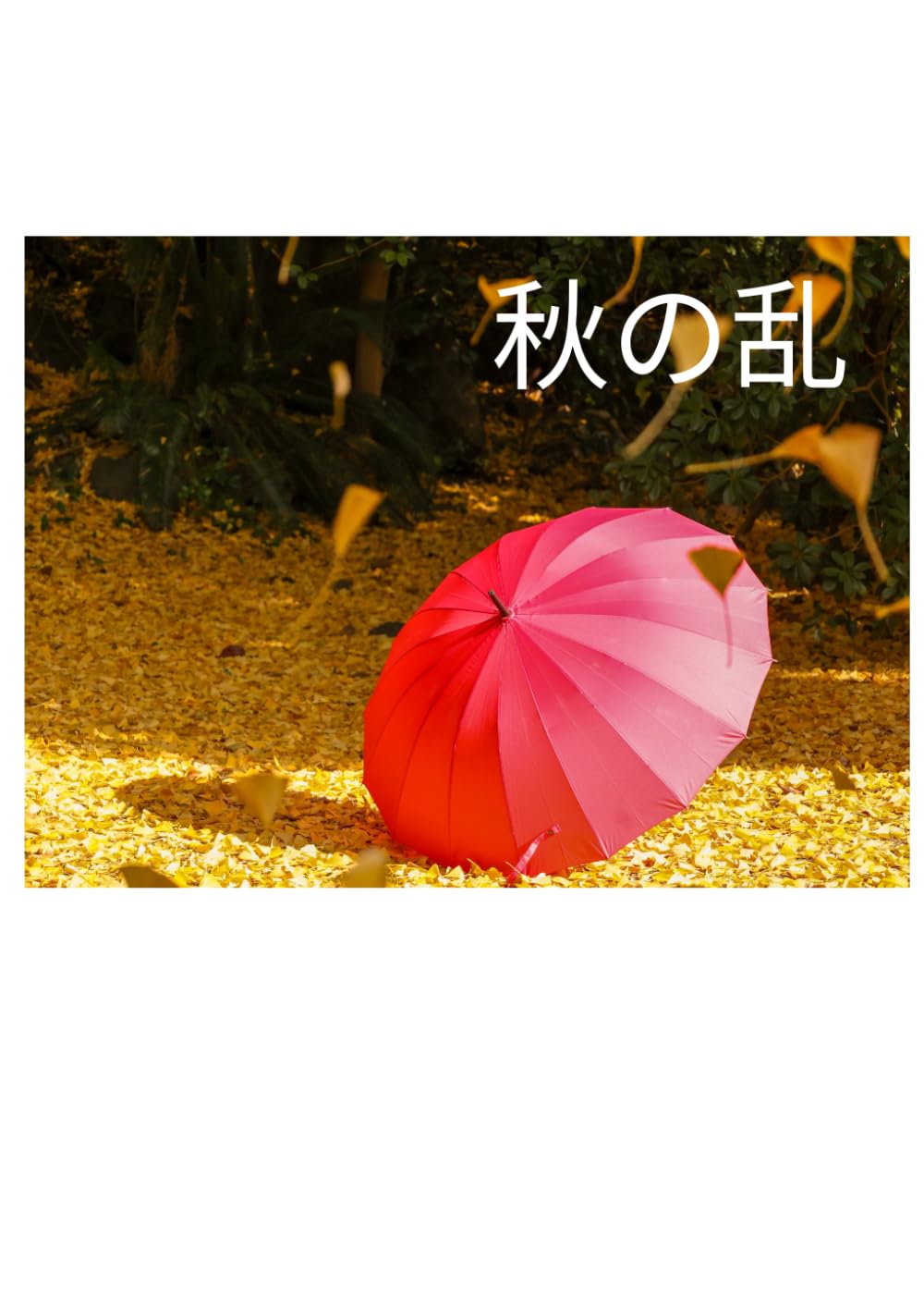 写真集「秋の乱」 (橋坂卓作品集)