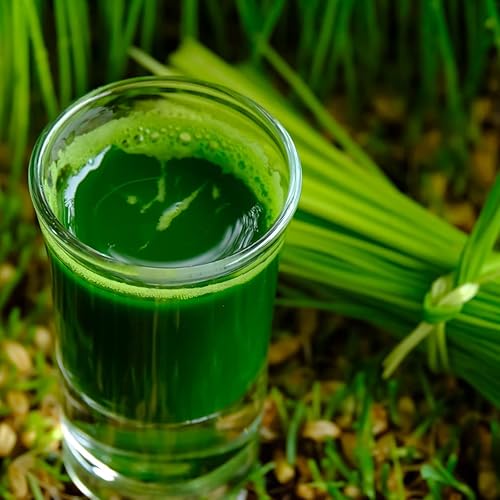 Miniatura 6 de Kit de riego automático de hierba de trigo orgánico para 5 cultivos. (kits de repuesto)