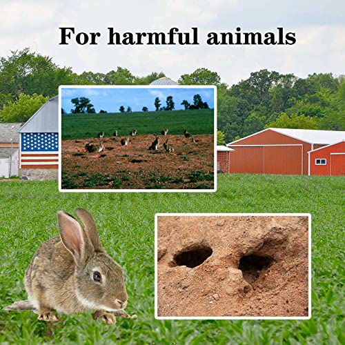 Medium Small Professional Animal Trap For Rabbit, Skunk, Mink, And Squirrel Cats Raccoons Sall Bobcats Foxes Etc (4In) #TOP2