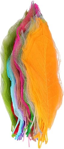 Beautiful Dry Leaves Ornaments 100Pcs Plant Decorations Plants Decor Plant Bookmark Stationery DIY Materials Leaf Decoration Decorate Manual Specimen