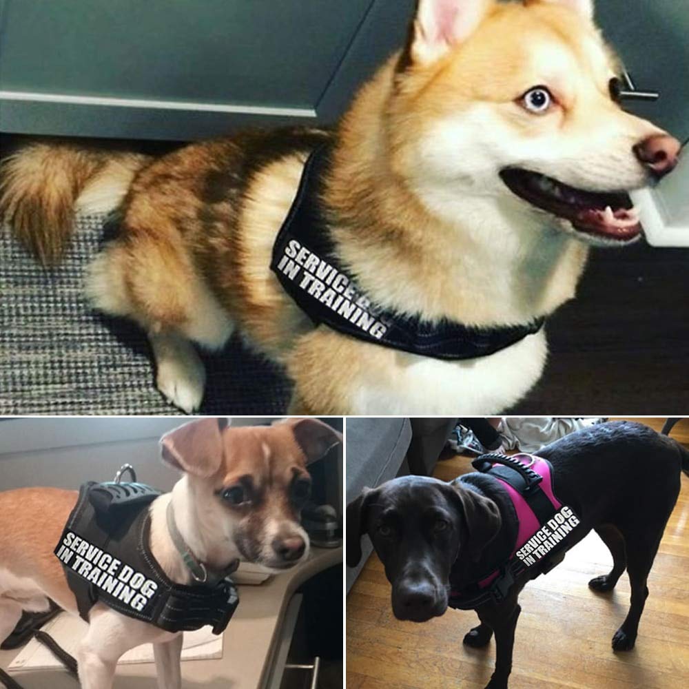 Kleine Hunde Chihuahua Hund Husky Leder Hund Katze Leine Hundezubehör Link 's Hundegeschirr Nylon Reflektierende Weste Geschirr XS-XXL