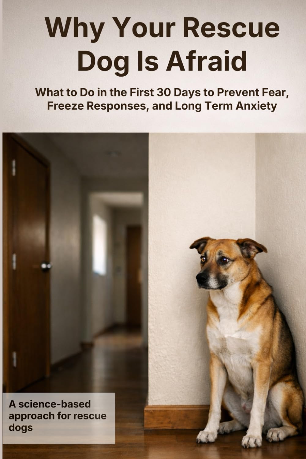 Why Your Rescue Dog Is Afraid: How to Avoid Turning Fear, Freeze Responses, and Long-Term Anxiety in Rescue Dogs