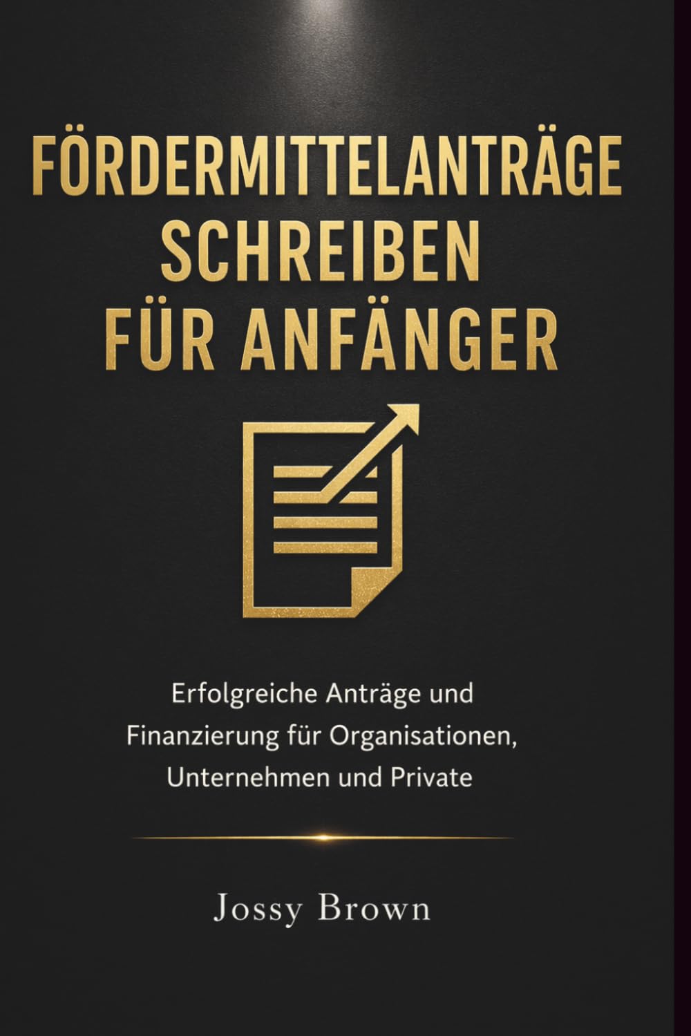 Fördermittelanträge schreiben für Anfänger: Erfolgreiche Anträge und Finanzierung für Organisationen, Unternehmen und Private
