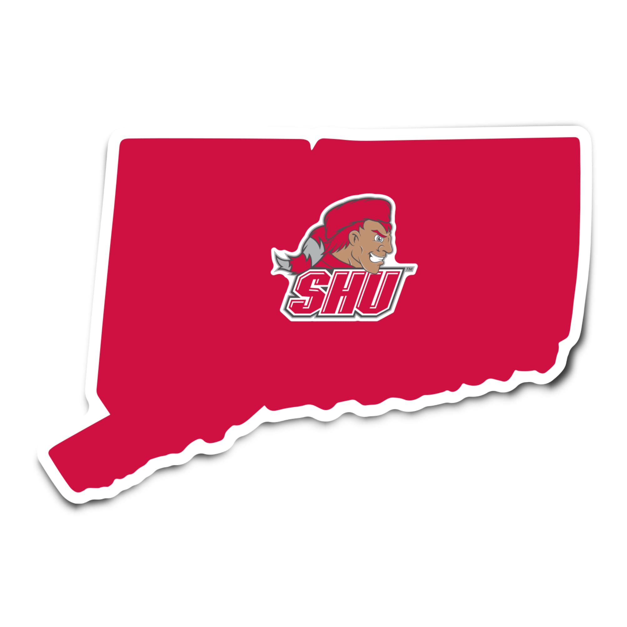 Desert Cactus Sacred Heart University Sticker Pioneers SHU Vinyl Decal Laptop Water Bottle Car Scrapbook (State Border Sticker)