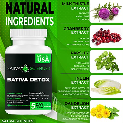 Sativa Sciences Sativa Detox - Urinary Tract UT Cleanse & Bladder Health – Fast-Acting Detoxifying Strength, Flush… - Image 3