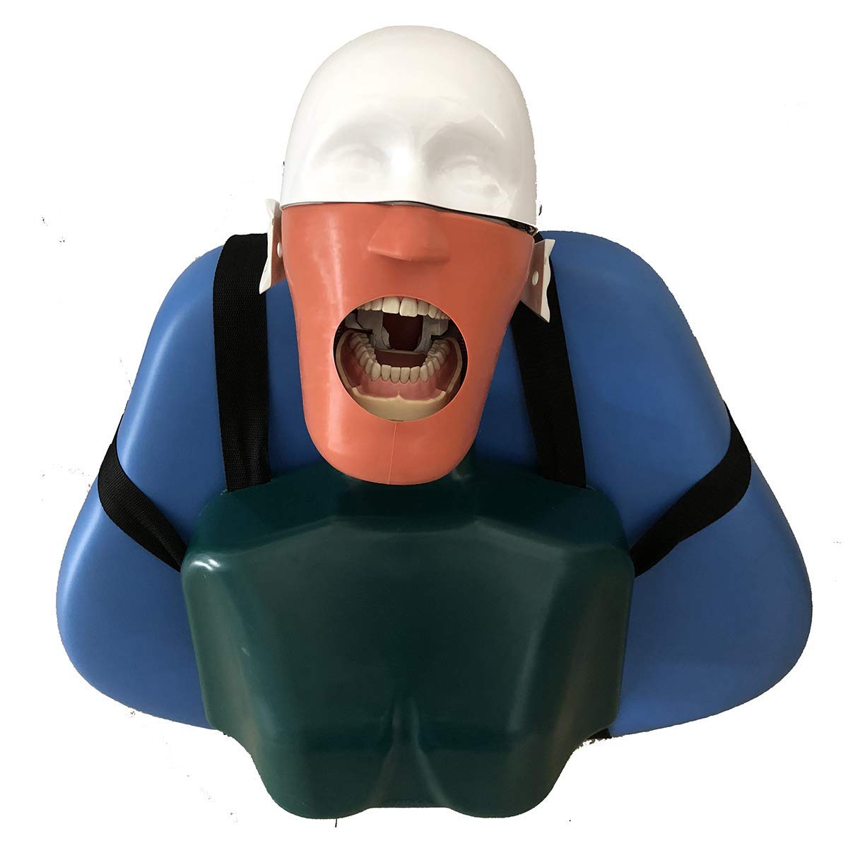 Testa di manichino simulatore per addestramento, Modello di manichino odontoiatrico, Vassoio odontoiatrico con Modello di Denti per addestramento di Dentisti e assistenti odo