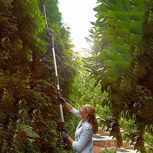 Worx 20V Cordless 8" Pole Chain Saw With Hedge Trimmer Attachment Wg908 Garden Combo, 1*2.0Ah Battery & Charger Included #TOP5