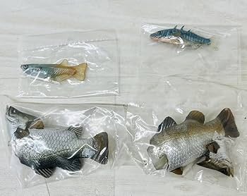 【未使用】YUJIN 原色　淡水魚図鑑Ⅰ 改訂版　17種 Amazon.co.jp: YUjIN 原色図鑑シリーズ21 原色淡水魚図鑑Ⅰ