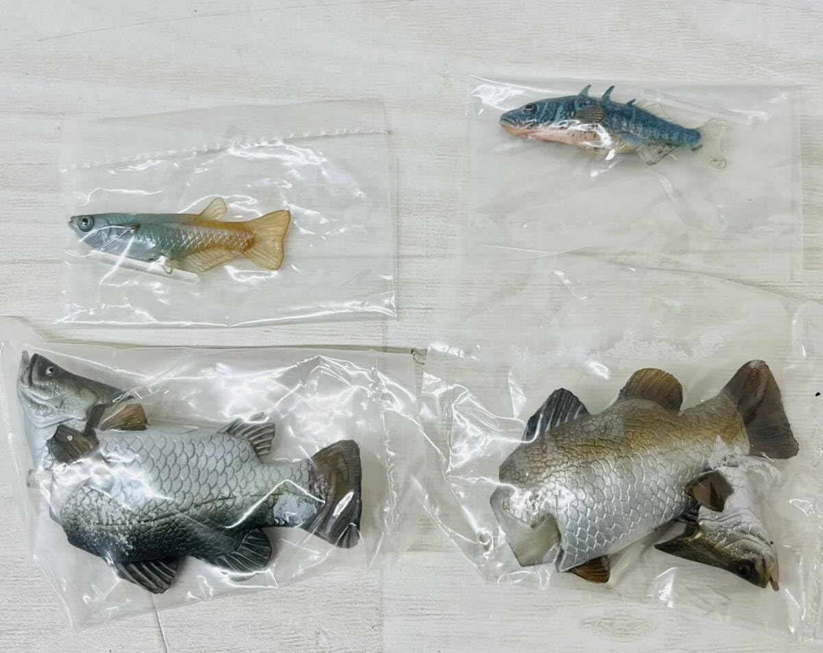 Amazon.co.jp: YUjIN 原色図鑑シリーズ21 原色淡水魚図鑑Ⅰ『改訂版