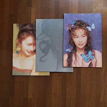 Amazon.co.jp: 工藤静香 コンサートパンフレット3冊 1991 1992