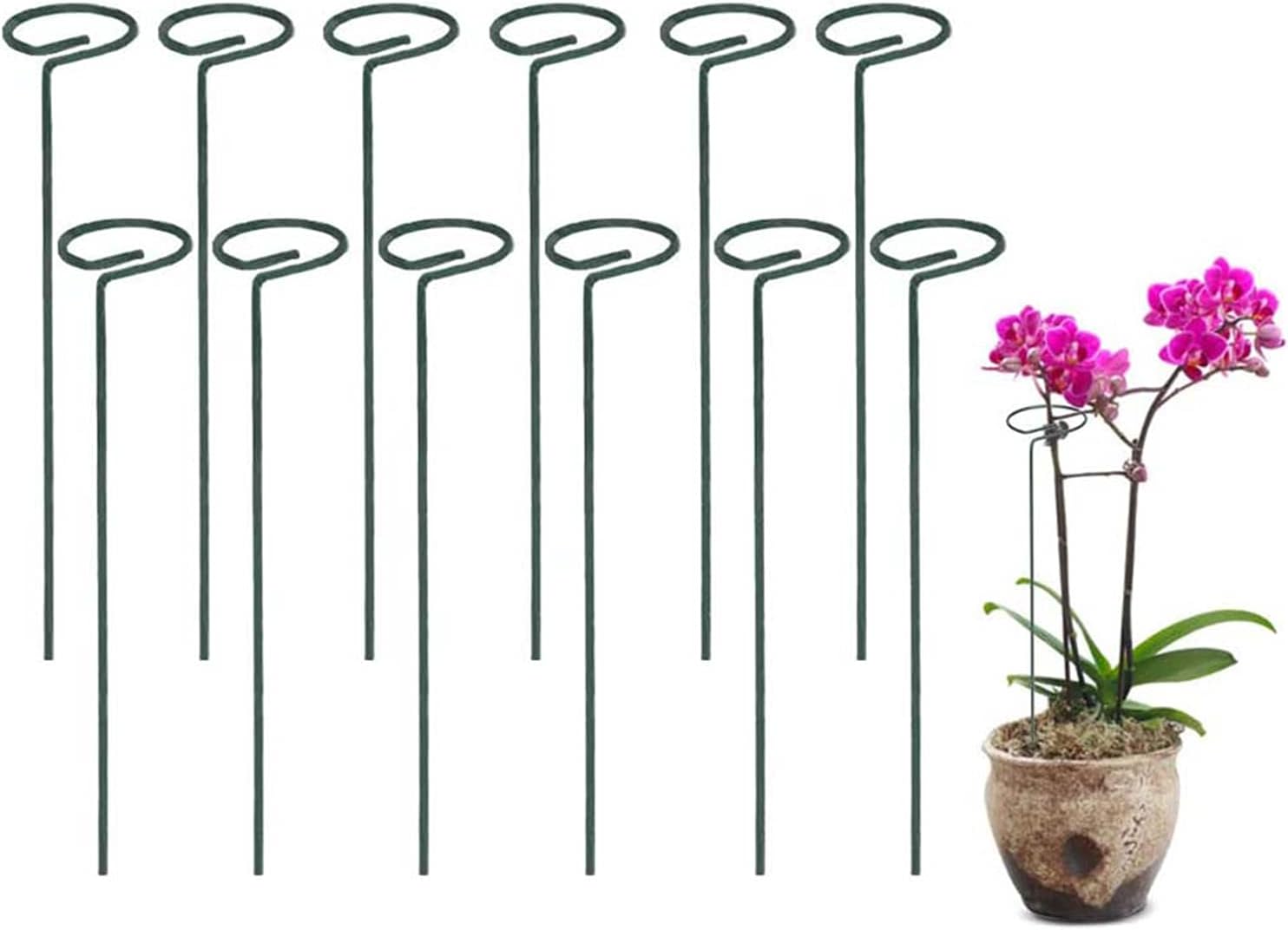 12 Packs Garden Flower Support Plant Support Ring Stakes Single Plant Stem Garden Support Stake Protect for Flowers Orchid Peony Lily Rose Sunflower Young Tree Tomatoes Amaryllis Stem